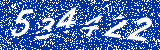 Capcha image